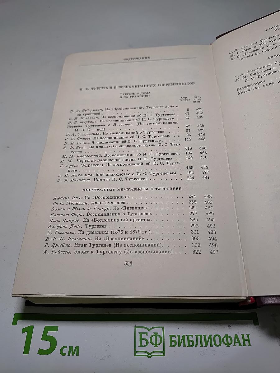 И. С. Тургенев в воспоминаниях современников. Том второй