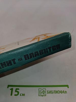 Гранит не плавится. Из записок чекиста. Роман