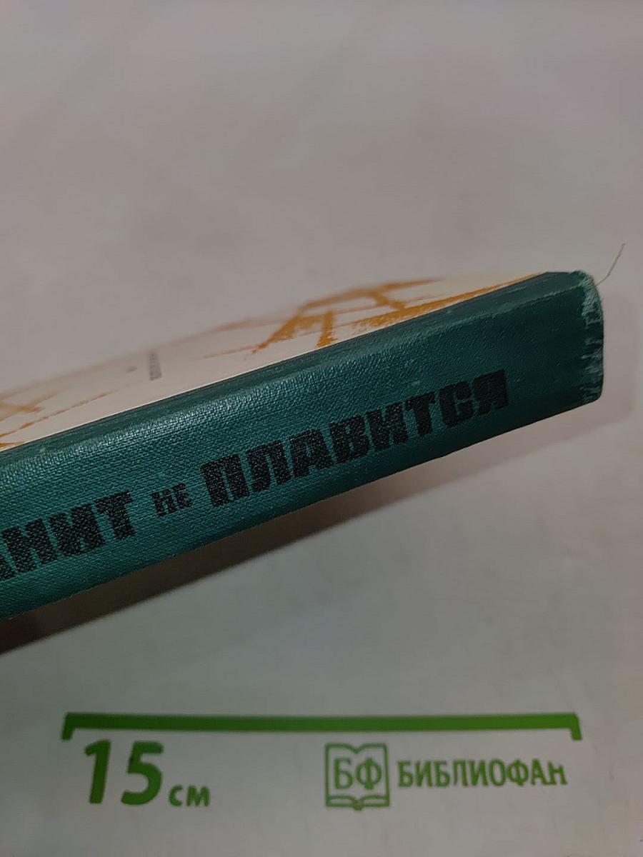 Гранит не плавится. Из записок чекиста. Роман