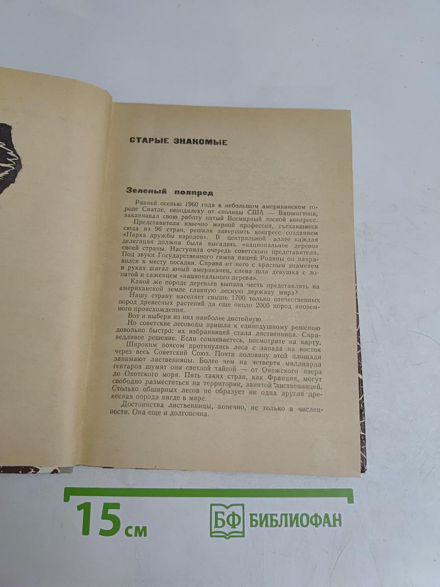 Загадки цинхоны