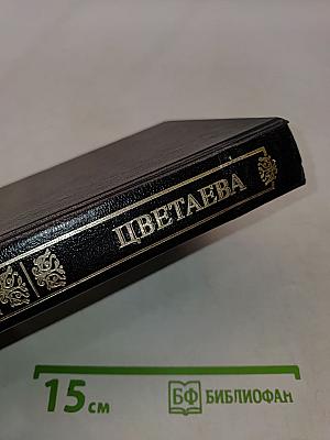 Избранные произведения в двух томах. Том 2. Поэмы
