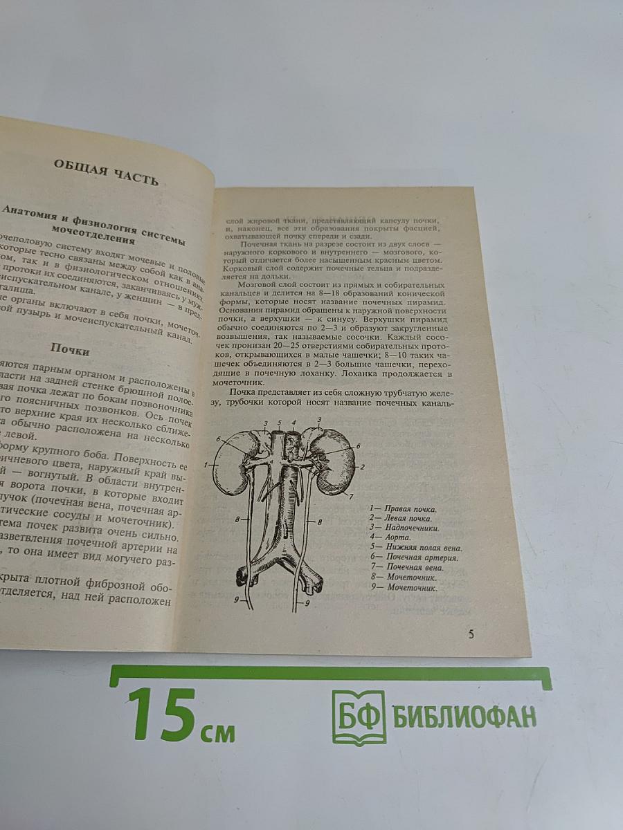 Аденома, простатит и потенция