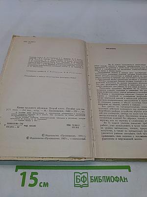 Уроки трудового обучения. 2 класс