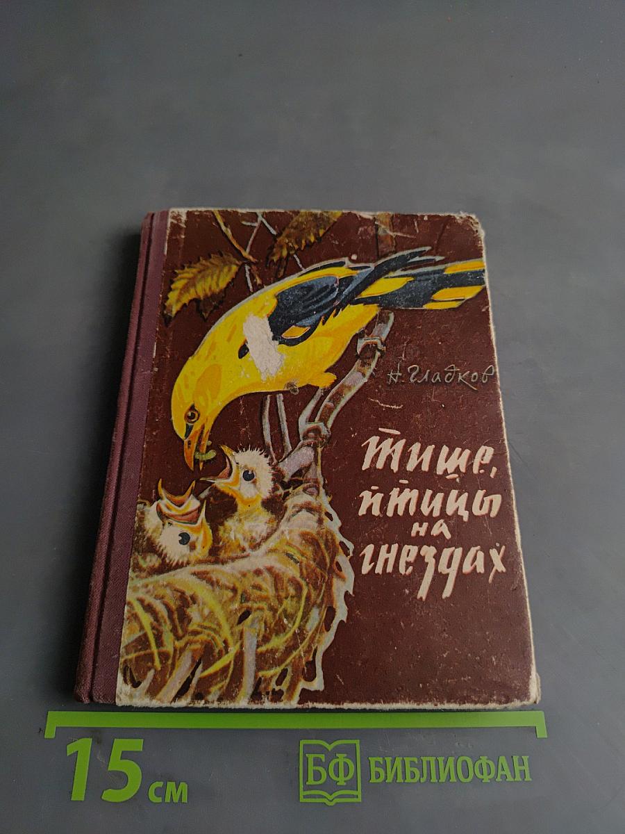 Птицы на гнёздах