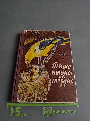 Птицы на гнёздах