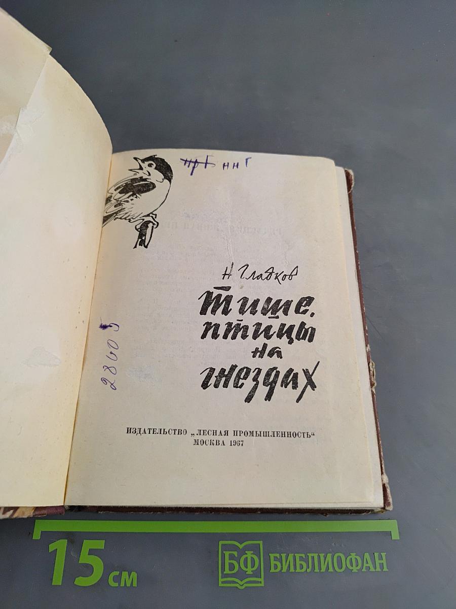 Птицы на гнёздах