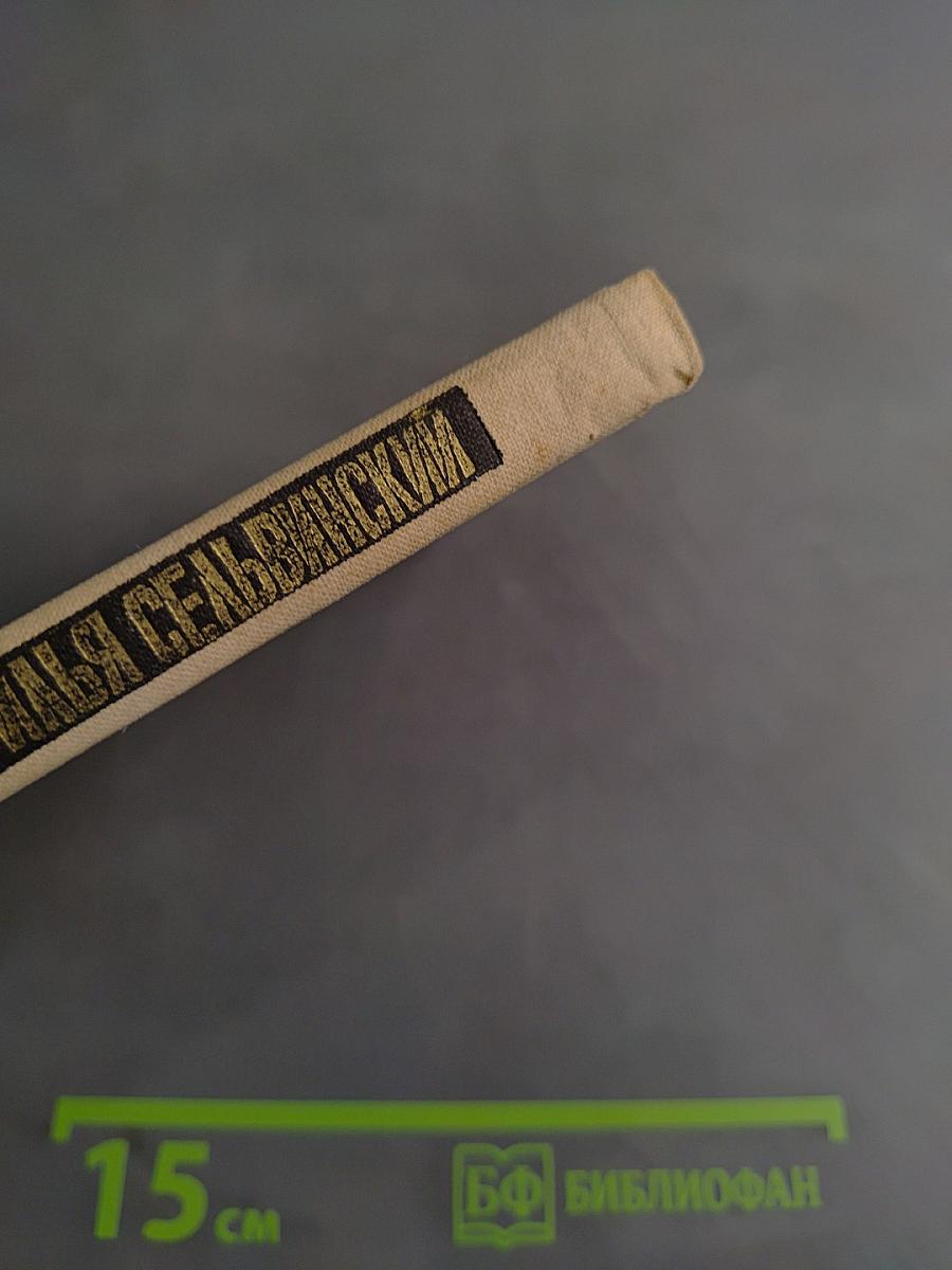 Избранная лирика