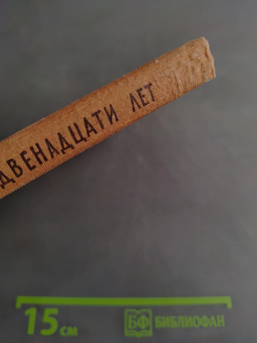 Мужчины двенадцати лет