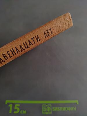 Мужчины двенадцати лет