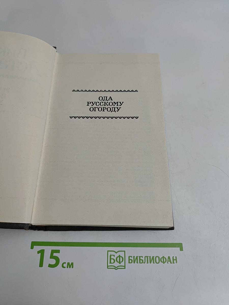 Мальчик в белой рубахе