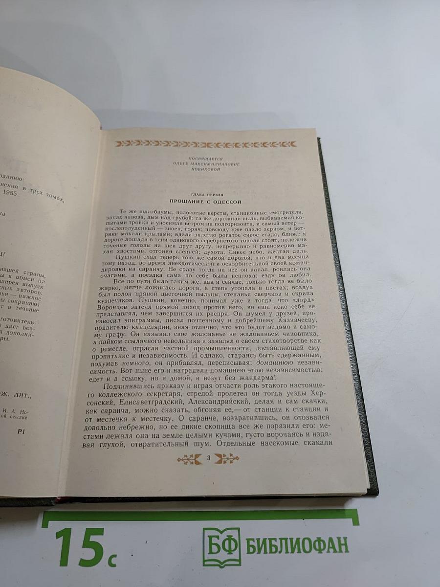 Пушкин в Михайловском