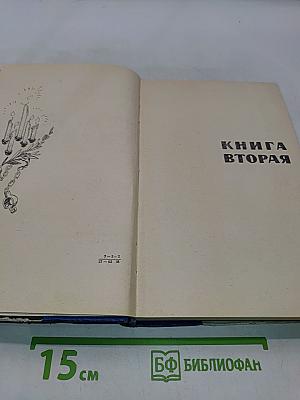 Северное сияние. Исторический роман в двух книгах. Книга вторая