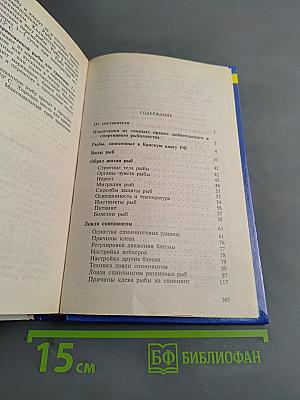 Особенности русской рыбалки