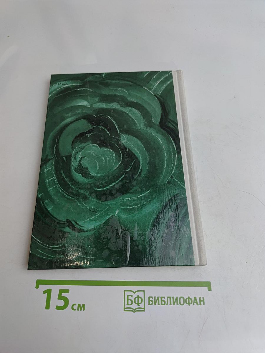 Долговекий мастер