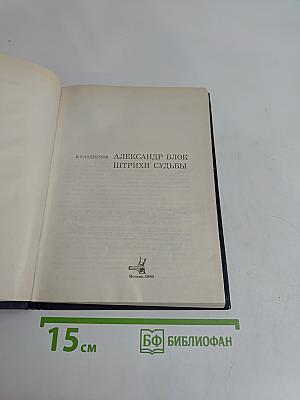 Штрихи судьбы