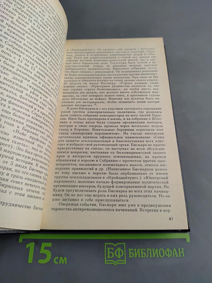 Бисмарк. Политическая биография