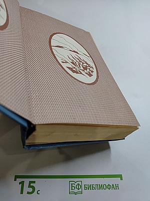 Унесенные ветром. Часть 1