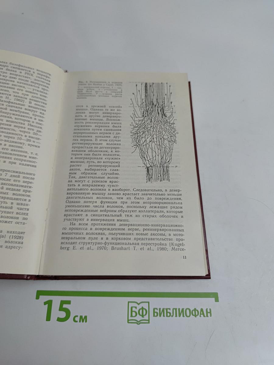 Болезни периферической нервной системы: Руководство для врачей