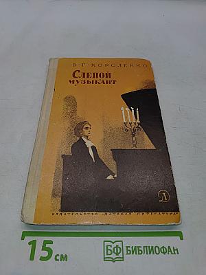 Слепой музыкант (Школьная библиотека)
