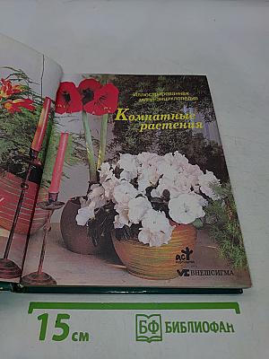 Женщины, книга для вас. Комнатные растения
