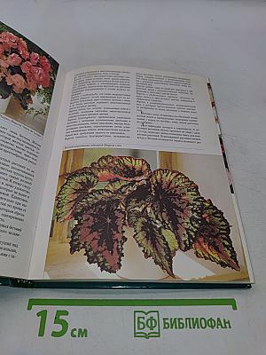 Женщины, книга для вас. Комнатные растения