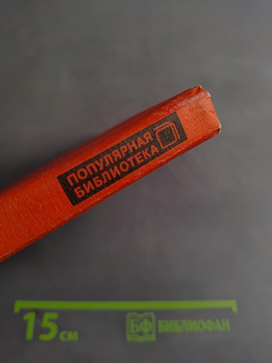 В своем отечестве пророки?