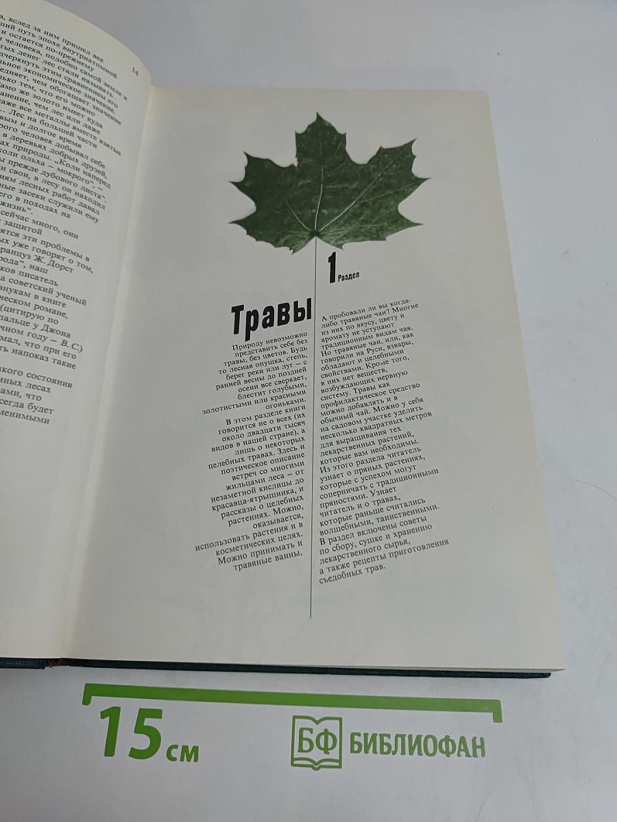 Дары природы