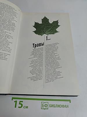 Дары природы