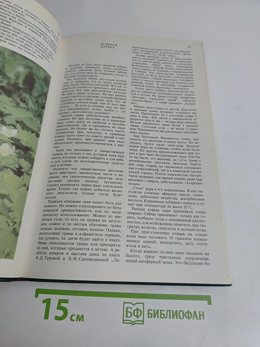 Дары природы