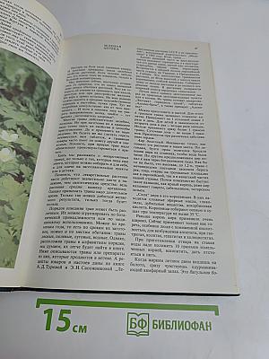 Дары природы