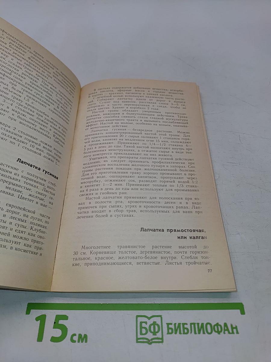 Растения – друзья здоровья