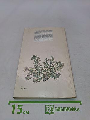 Растения – друзья здоровья