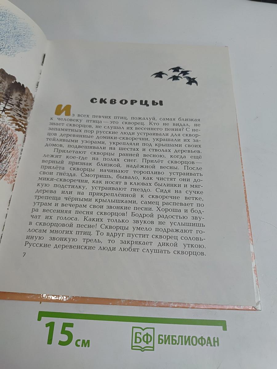 Звуки земли