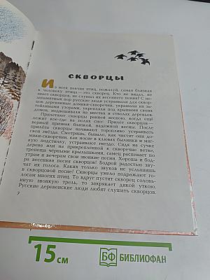 Звуки земли
