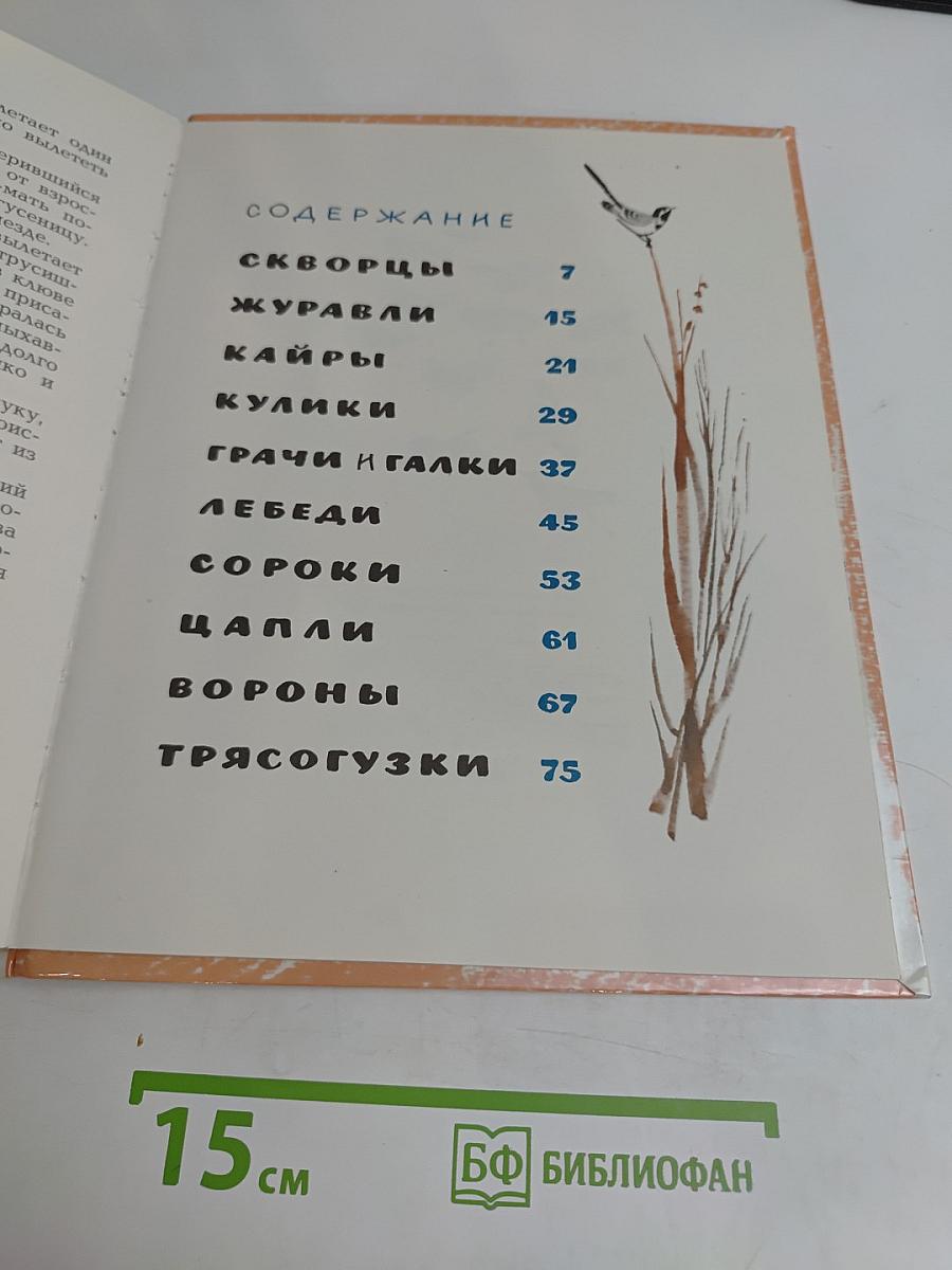 Звуки земли
