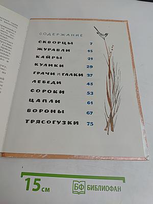Звуки земли