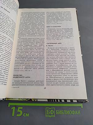 Эврика 89