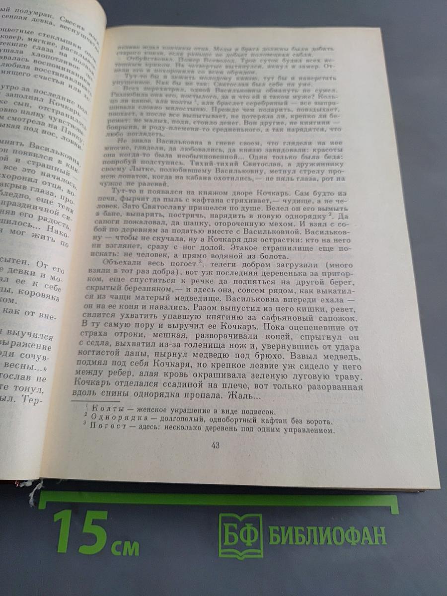 Огненное порубежье. Большое гнездо