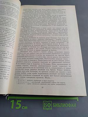 Огненное порубежье. Большое гнездо