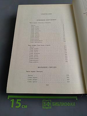 Огненное порубежье. Большое гнездо