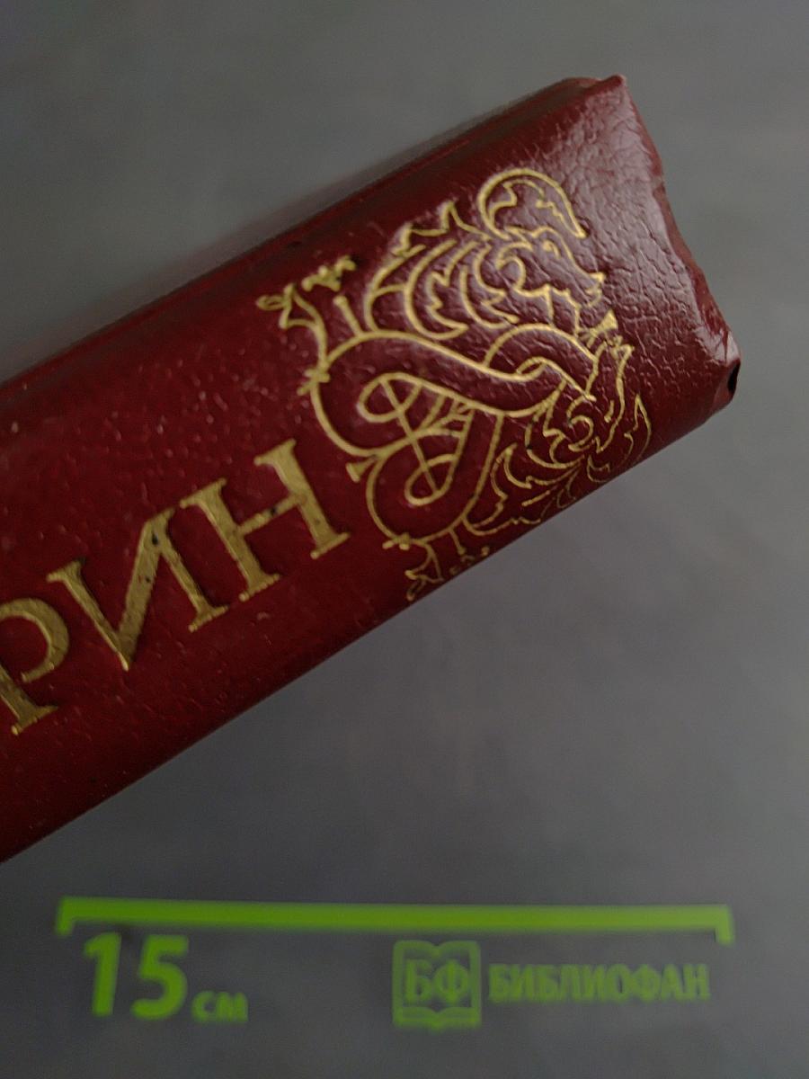 Огненное порубежье. Большое гнездо