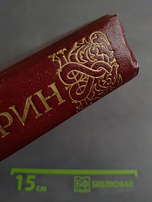 Огненное порубежье. Большое гнездо