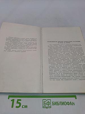 Комнатные и балконные растения