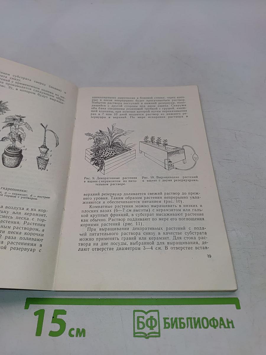 Комнатные и балконные растения
