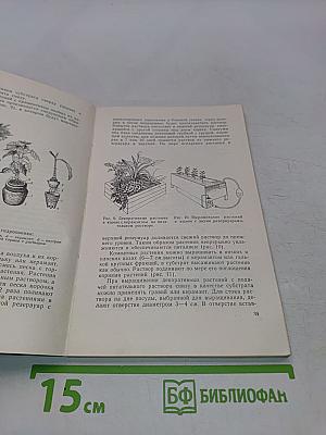 Комнатные и балконные растения
