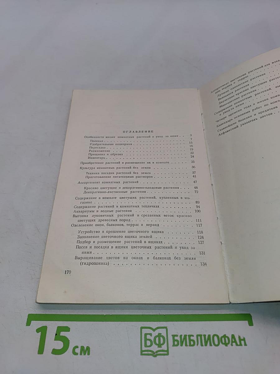 Комнатные и балконные растения