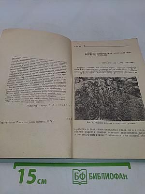 Золотой корень (Родиола розовая)