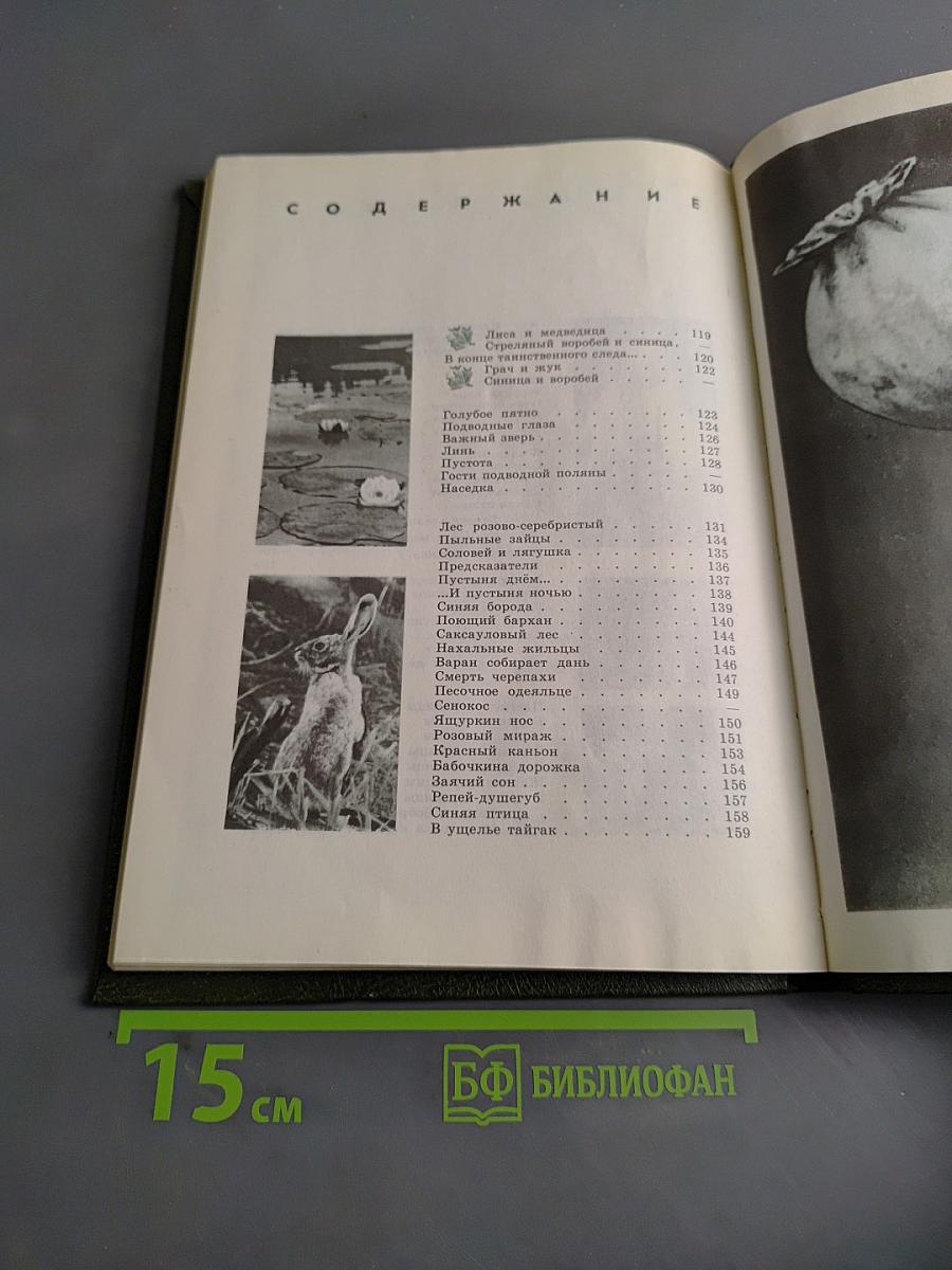 Под шапкой-невидимкой