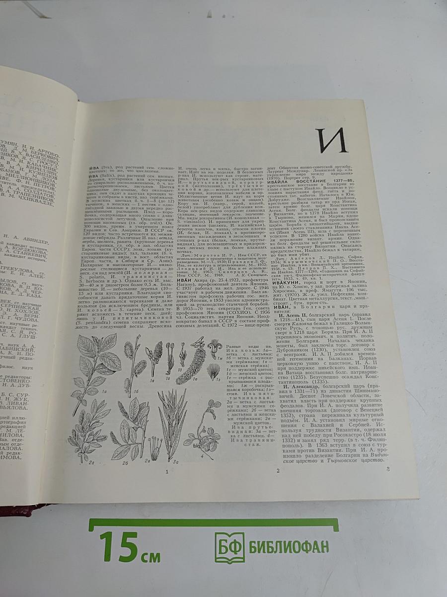 Большая Советская Энциклопедия. Том 10. Ива — Италики