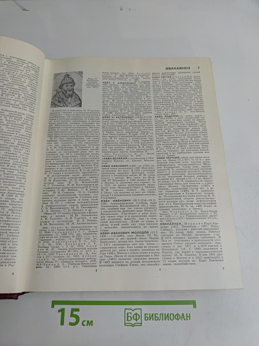Большая Советская Энциклопедия. Том 10. Ива — Италики